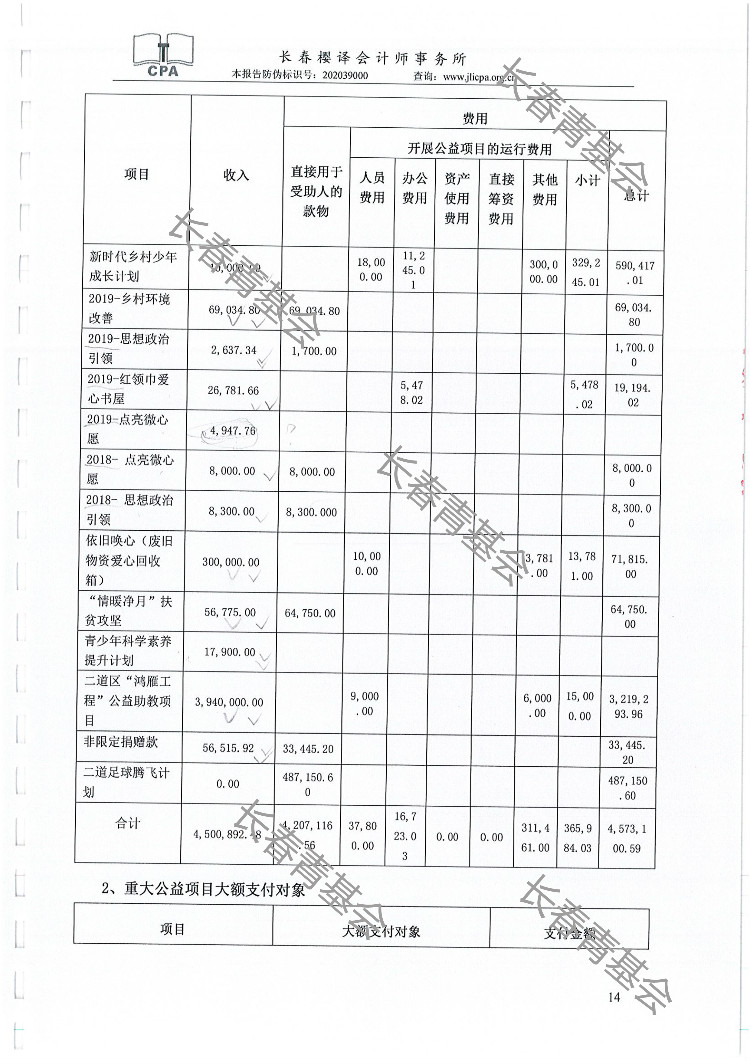 051411103143_02019niandushenjibaogao_14